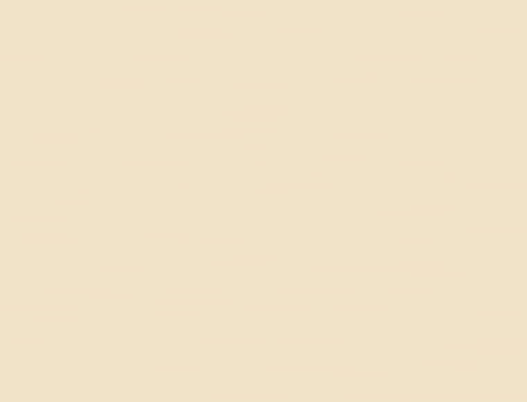 Carat Beige U115 ST9